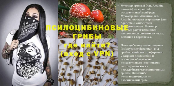 метадон Алексин
