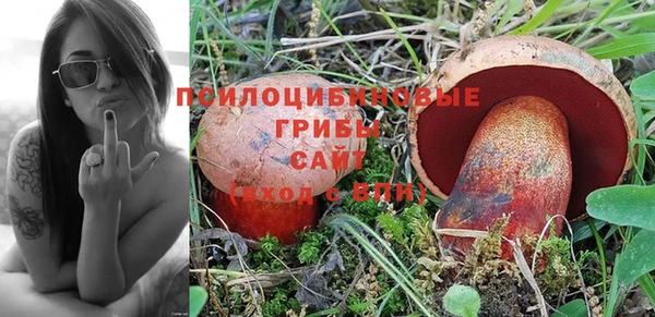 крисы Алексеевка